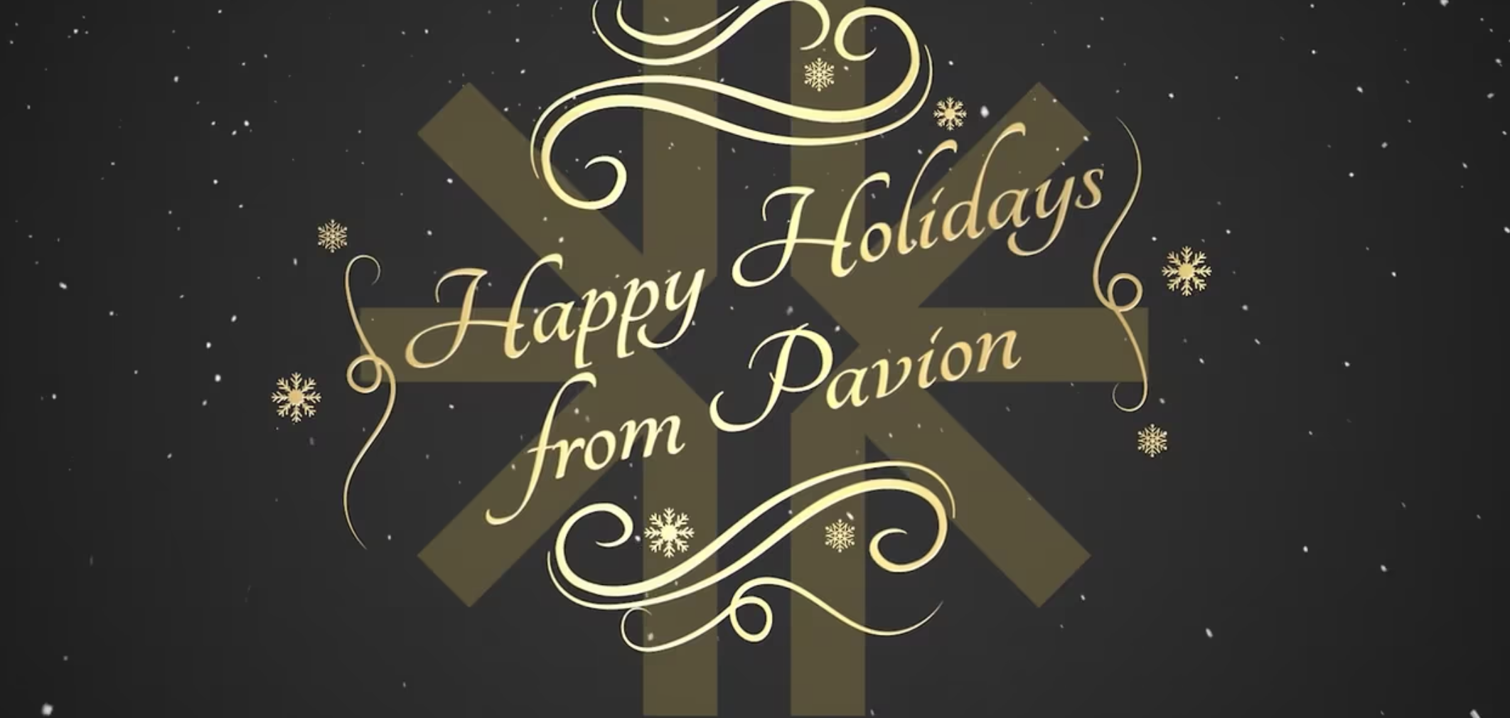 Happy Holidays from Pavion